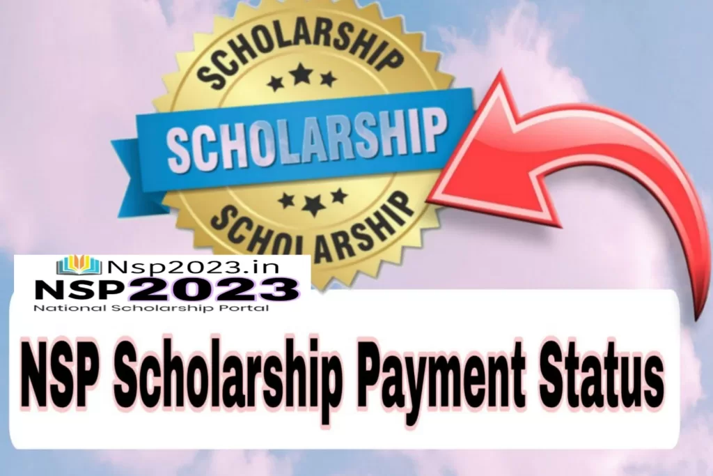 NSP Scholarship 2023 Payment Details